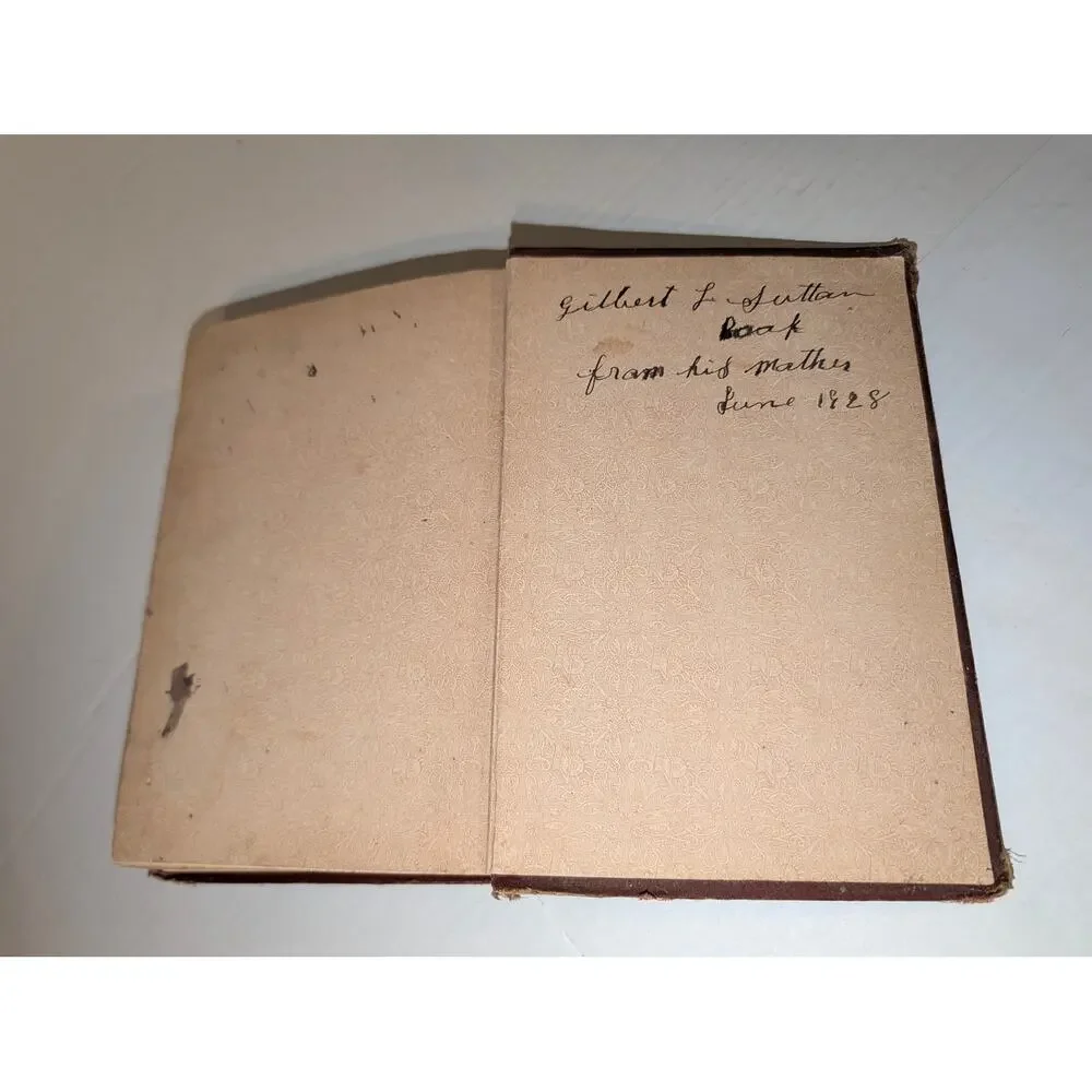 Antique 1890 Down the Bay Joe and I on Salt Water Belford Clarke HC Book